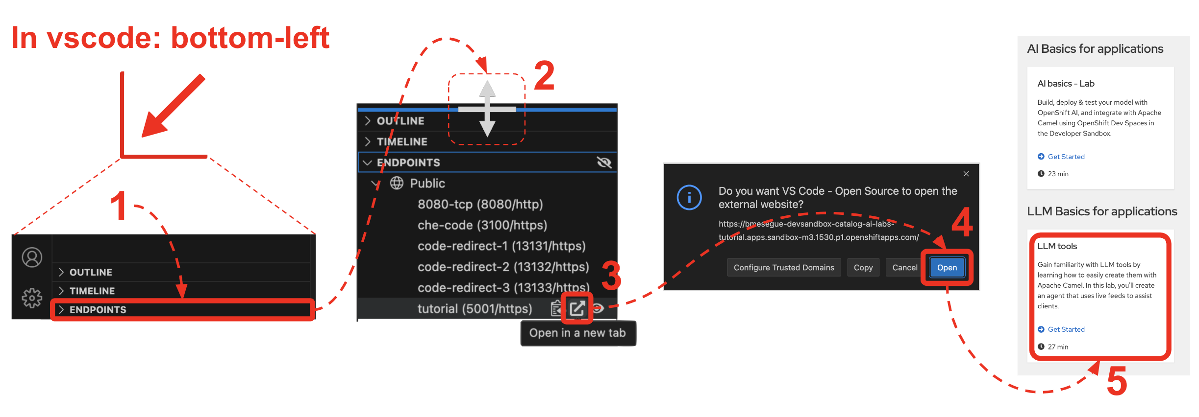 Unfold ENDPOINTS > Open in new tab > Open.