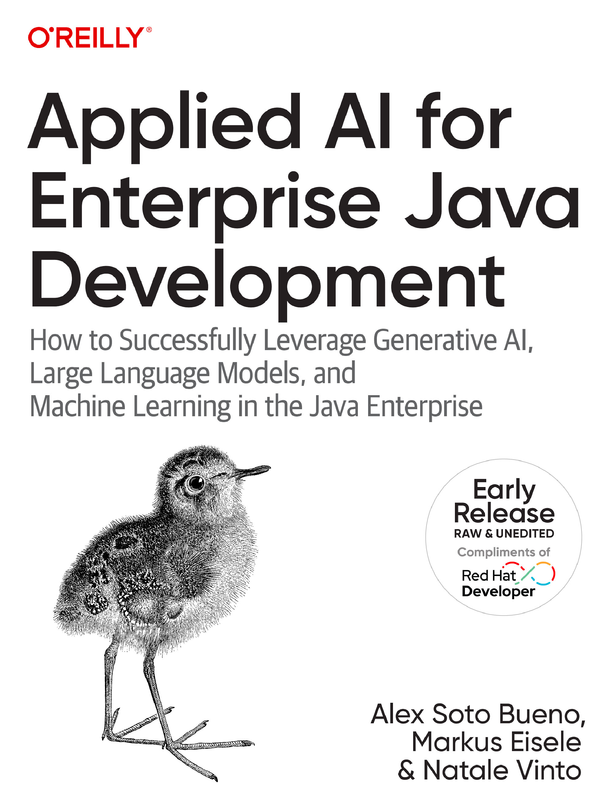 Applied AI for Enterprise Java Development