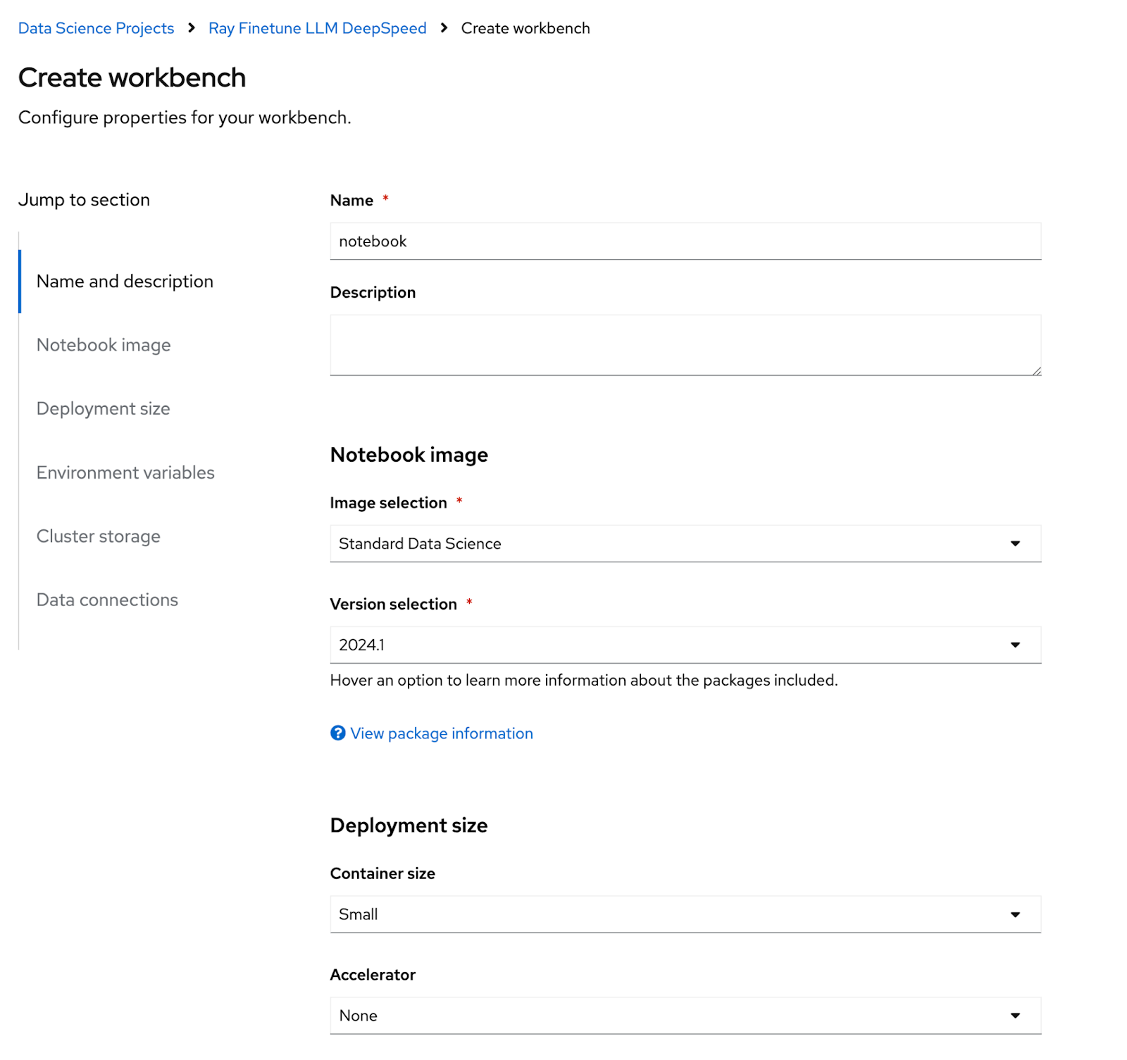 The Create workbench page, with fields for Name, Description, Image selection, Version selection, Container size, and Accelerator.