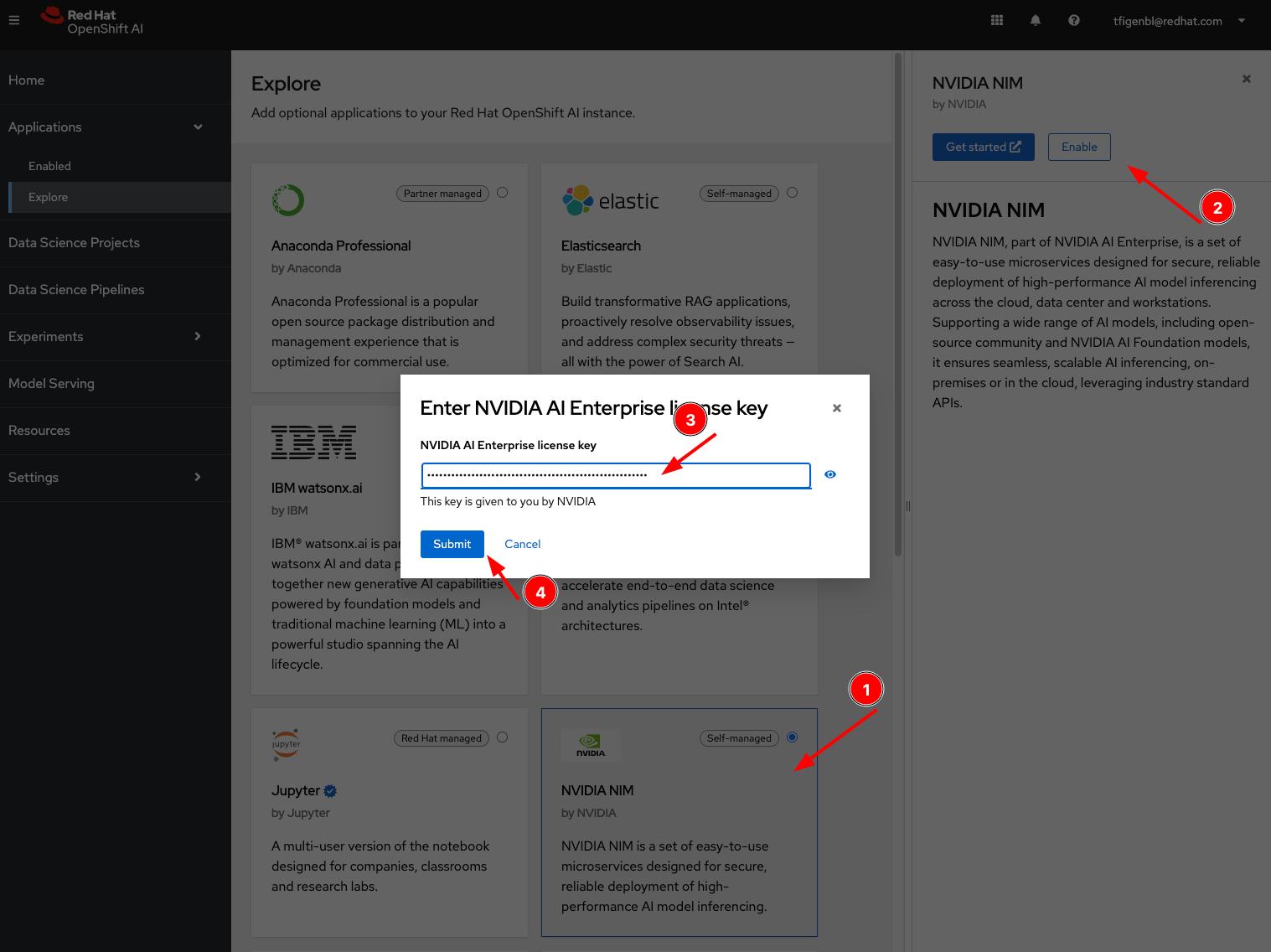 Click the NVIDIA NIM tile, click Enable, and input the API key that you generated in the previous step from the NVIDIA NGC catalog to enable NVIDIA NIM.