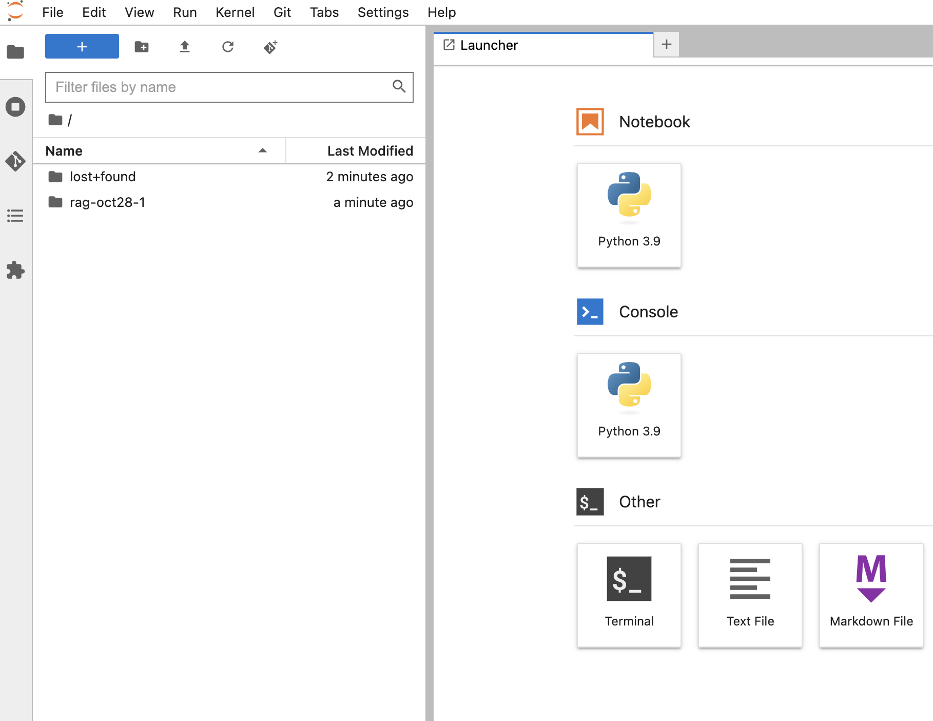 A screenshot of the Jupyter Notebook launched from the Workbench.