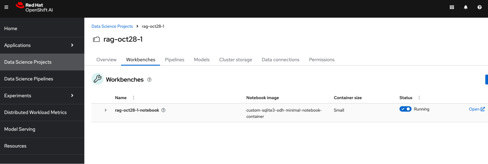 A screenshot of the Data Science Project workbench in Red Hat OpenShift AI.