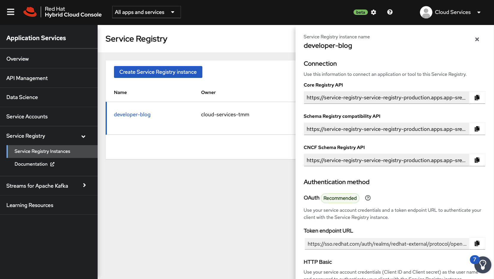 The service Registry instance connection information displayed in the UI.