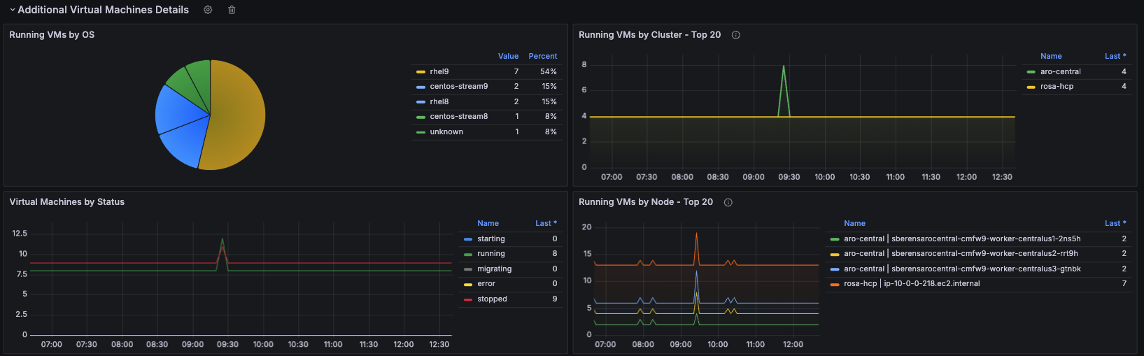 Additional Virtual Machine Details