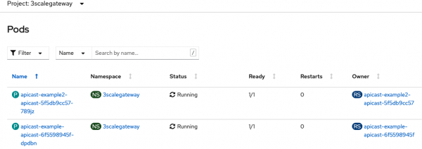 Screenshot showing two services listed in the 3scalegateway project: apicast-example2-apicast and apicast-example-apicast.