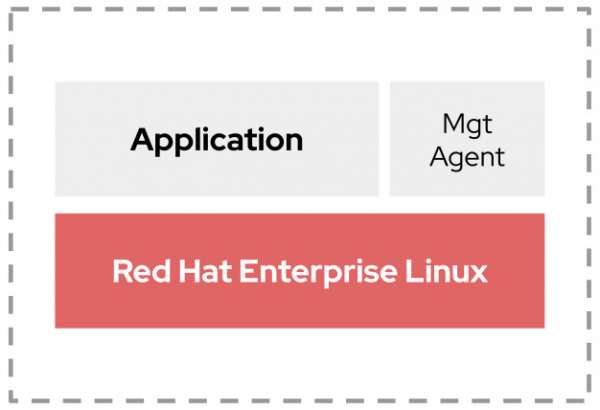 Graphic of the software stack shipped as a container image