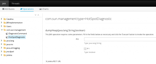 OpenShift Web Console Operations