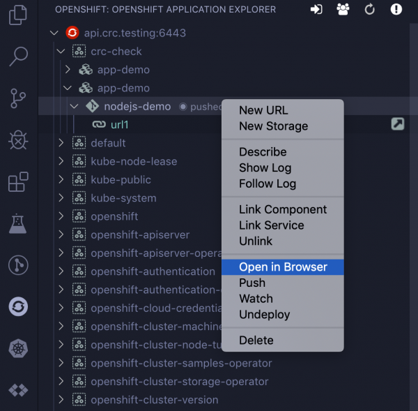 Access your new route to the cluster.