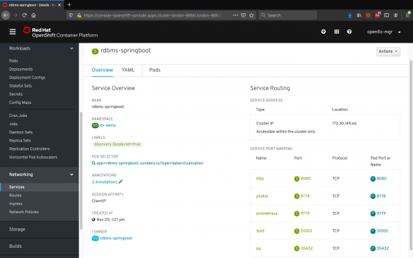 The rdbms-springboot service overview window.