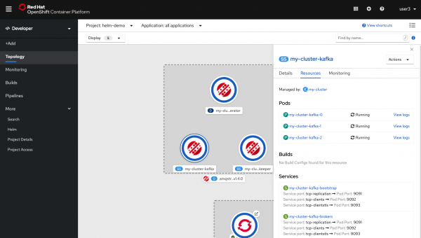 Accessing the resource in the Topology view