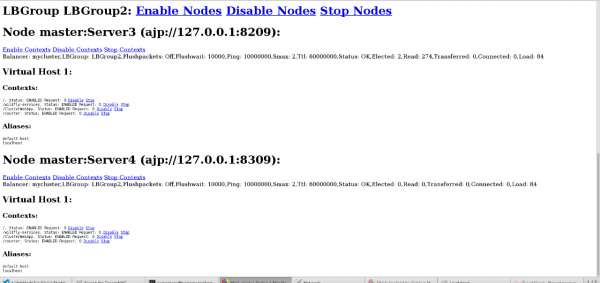 The LBGroup2 subcluster has server3 and server4