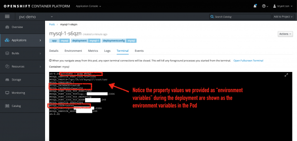 Terminal inside MySQL Pod