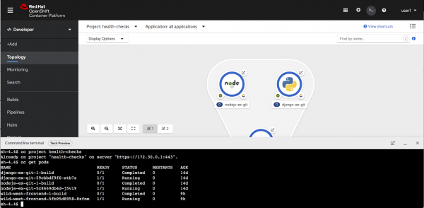 A screenshot of the web terminal open in the web console.