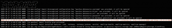 The application log with the example application's launch record highlighted, which shows what ports it's listening on.