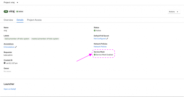 The project details view shows that Service Mesh is enabled.