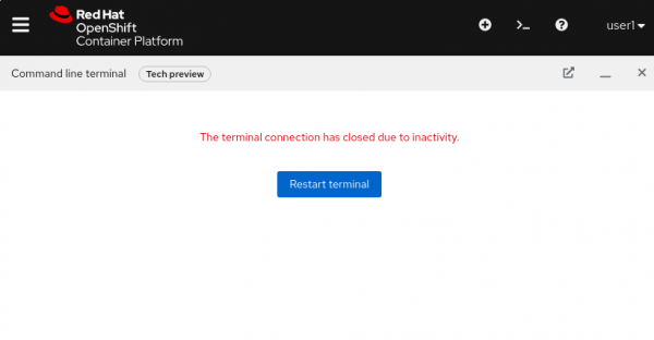 OpenShift Console showing why the web terminal stopped
