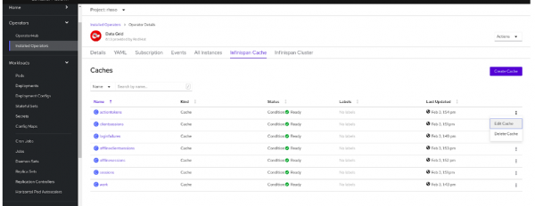 A list of Infinispan caches in the Data Grid Operator.