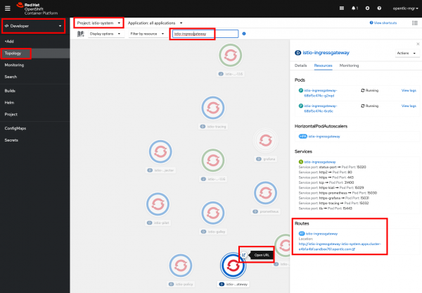 Screenshot of the app topology of the istio-system project to access Kubeflow dashboard