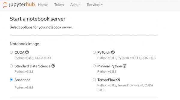 The dialog to create and start a notebook server in JupyterHub.