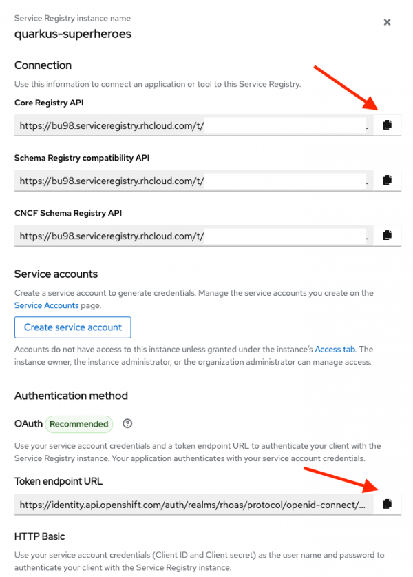 The web page for an instance includes buttons for Core Registry API and Token endpoint URL.