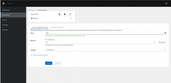 Screenshot of the Cryostat web interface when starting a new recording on the target.