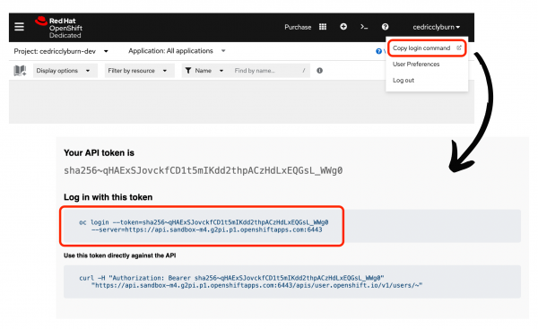 Developer Sandbox authentication token