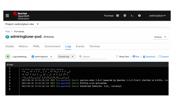 Developer Sandbox viewing of logs