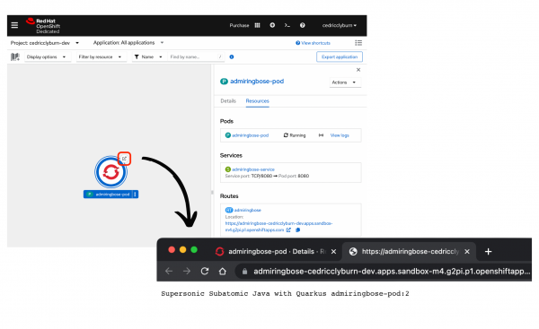 Developer Sandbox verification of pod deployment