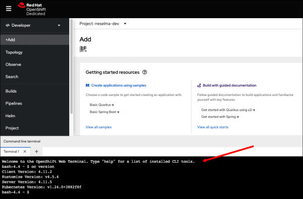 The OpenShift web console offers a terminal where you can issue commands related to your clusters.