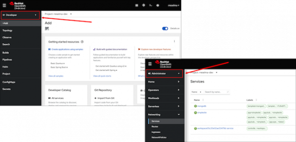 Different resources are displayed by the Developer and Administrator perspectives in the console.