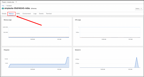 The Metrics tab for each pod shows statistics such as memory usage.