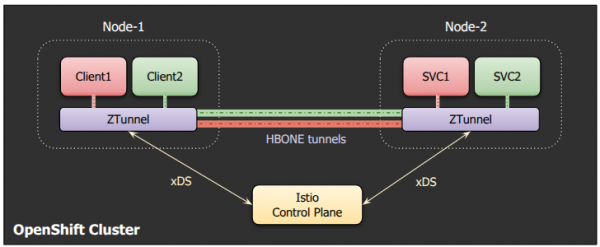 Traffic visualization when a client communicates with a server on a different node