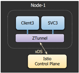 Traffic visualization when both client and server are on the same node