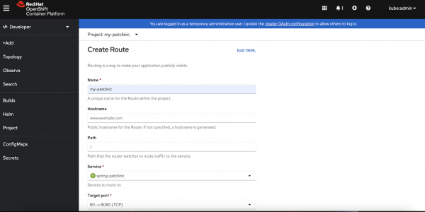 Screenshot of the Create Route page, which allows you to specify the parameters you need for the route to your application.