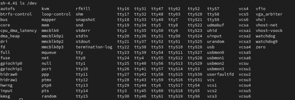 Output of doing an "ls /dev/*" in the deployed container