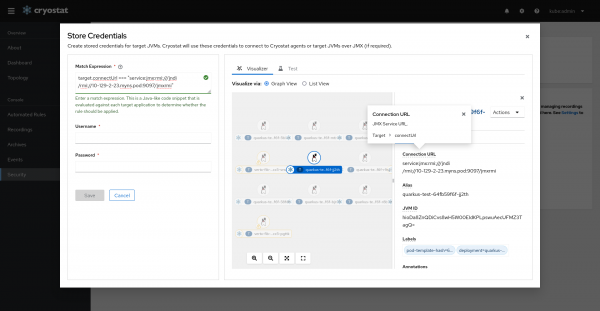 Using Match Expression Visualizer (Graph View) with Stored Credentials form