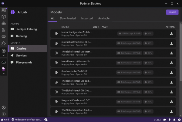 Picture of podman AI lab extension Catalog page which shows the models available to be downloaded and their sizes.