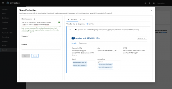 Using Match Expression Visualizer (List View) with Stored Credentials form