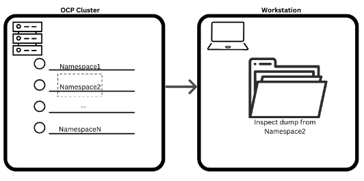 Namespace's Inspect structure