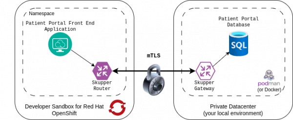 Diagram showing the two services: the patient portal front-end running in the Developer Sandbox and the patient portal database in the local environment.