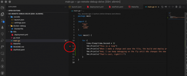 Setting a breakpoint in Main.go.