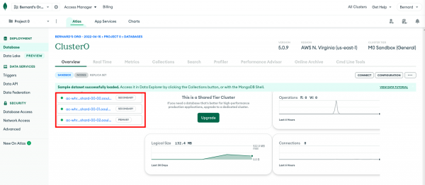 A screenshot of the public addresses for the MongoDB replicaset.  