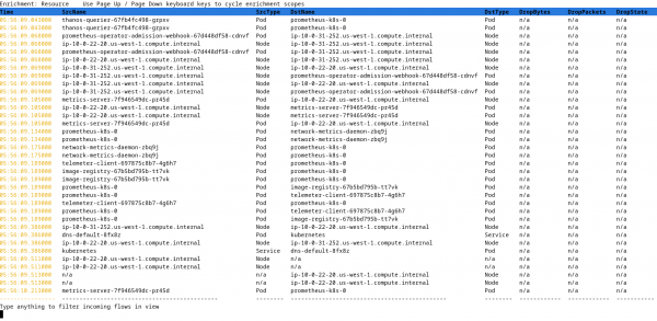 A view of the Network Observability CLI.