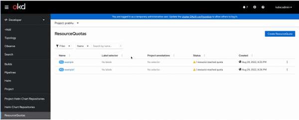 The Resource Quotas page showing resources reached quotas.