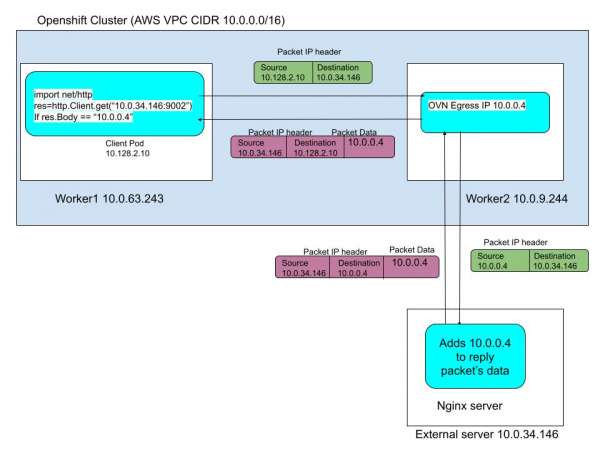 Figure 1: Packet flow through egress IP during the testing