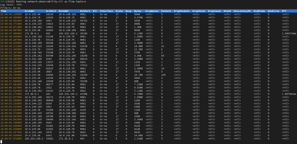 CLI flow capture terminal with flow logs displayed as table