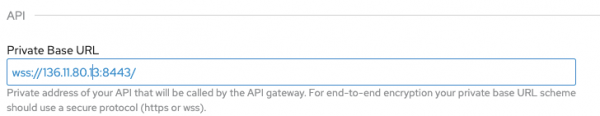 Enter the WebSocket server URL as the Private Base URL.