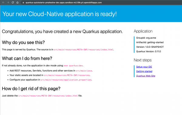 The Quarkus application upon successful creation.