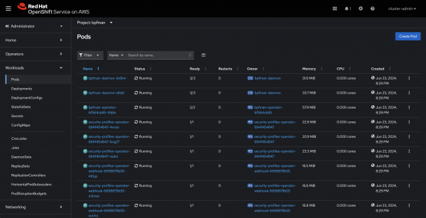 bpfman-operator-running-pods