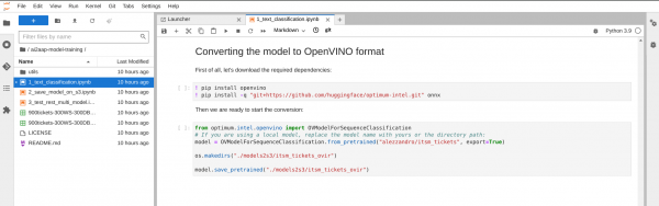 OpenVINO format model conversion